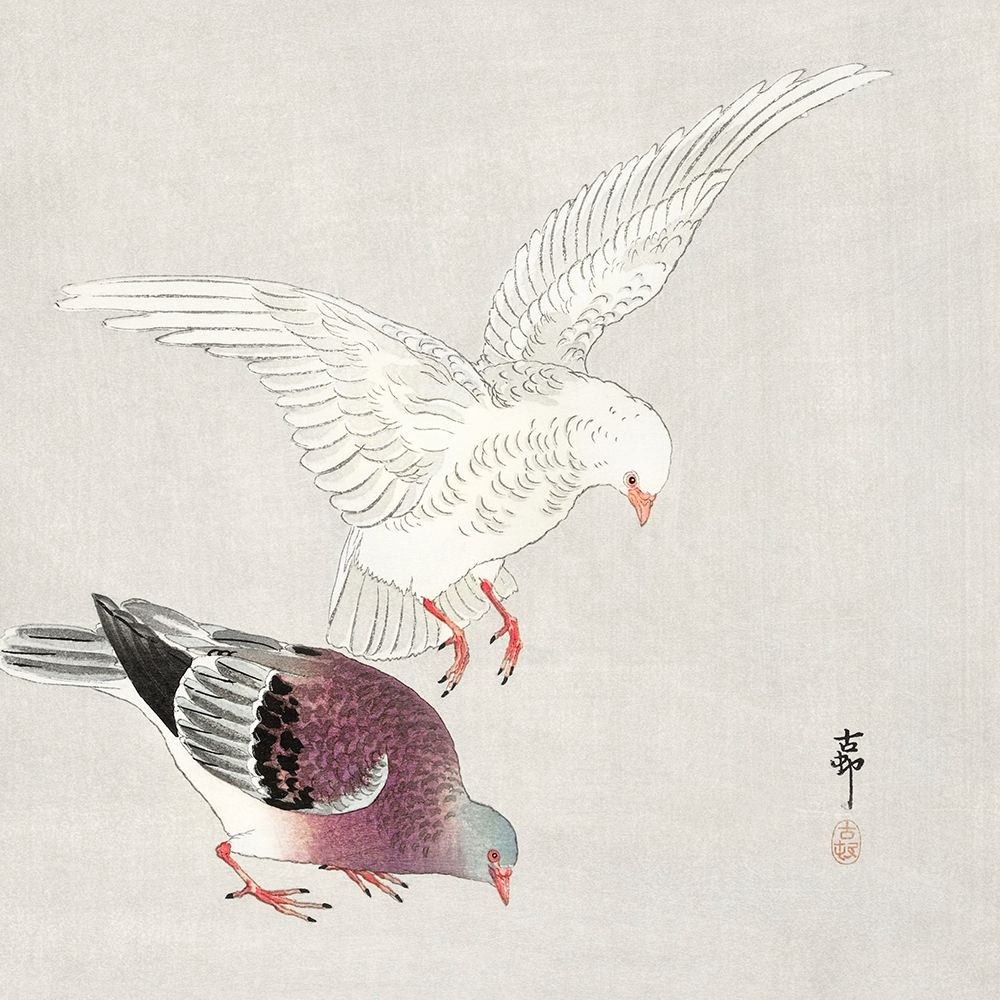 Two pigeons art print by Ohara Koson for $57.95 CAD