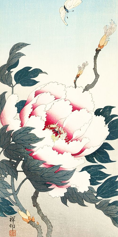 Peony with butterfly art print by Ohara Koson for $57.95 CAD
