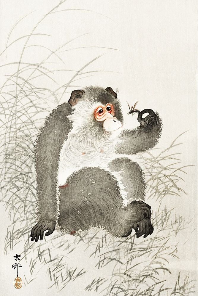 Monkey with insect art print by Ohara Koson for $57.95 CAD
