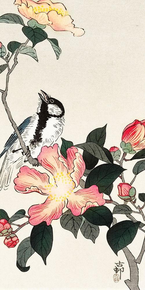Great tit on branch with pink flowers art print by Ohara Koson for $57.95 CAD