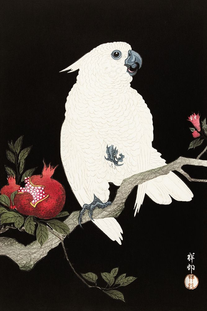 Cockatoo and pomegranate art print by Ohara Koson for $57.95 CAD