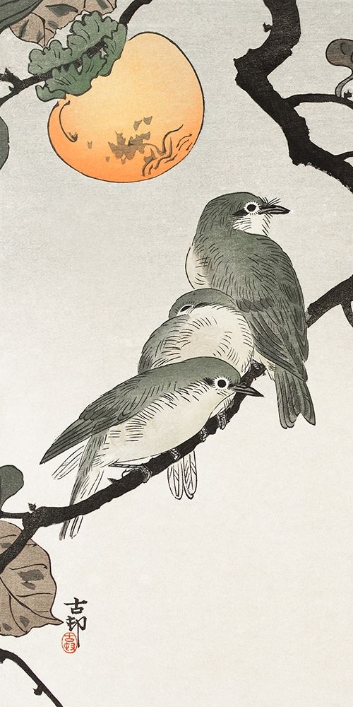 Birds and plants art print by Ohara Koson for $57.95 CAD