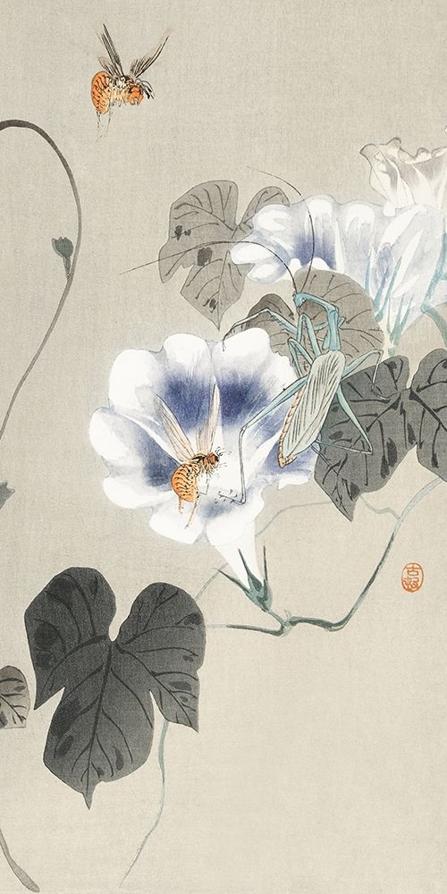 Insects near bindweed art print by Ohara Koson for $57.95 CAD