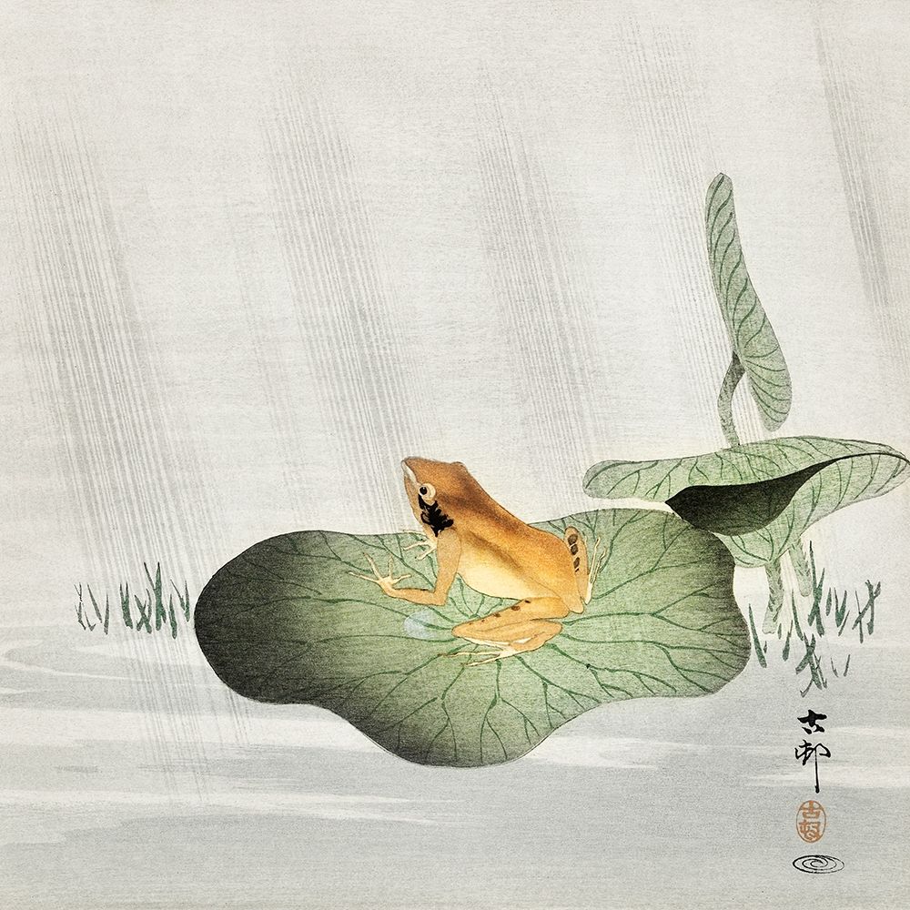 Frog on lotus leaf art print by Ohara Koson for $57.95 CAD