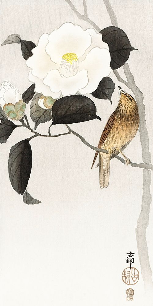 Songbird and flowering camellia art print by Ohara Koson for $57.95 CAD