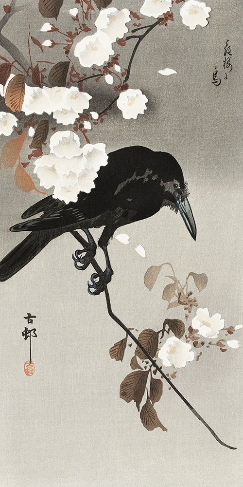 Crow and cherry blossom art print by Ohara Koson for $57.95 CAD