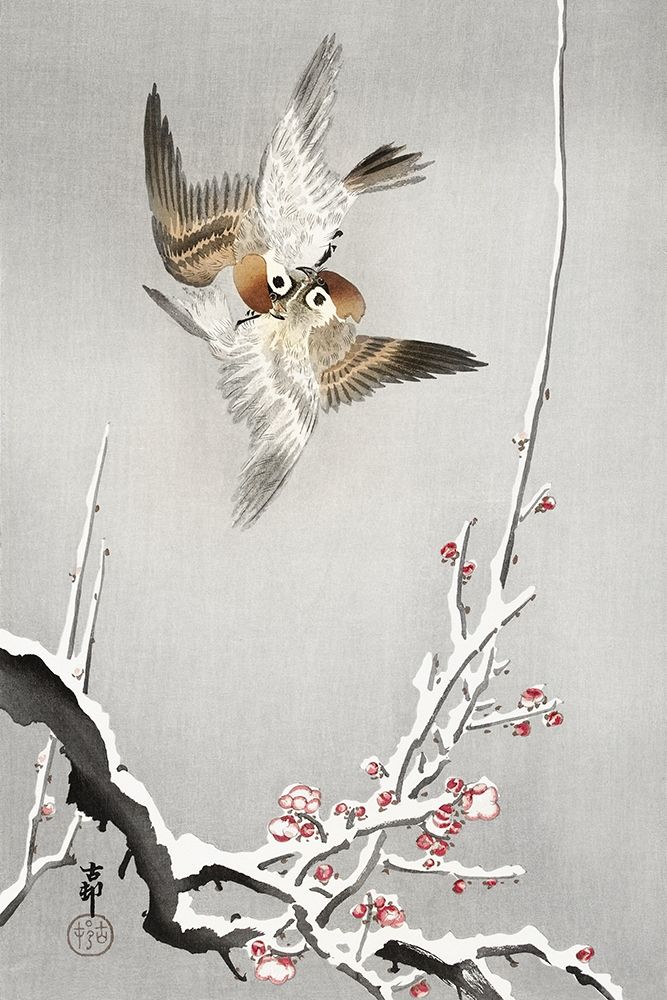 Sparrows and snowy plum tree art print by Ohara Koson for $57.95 CAD