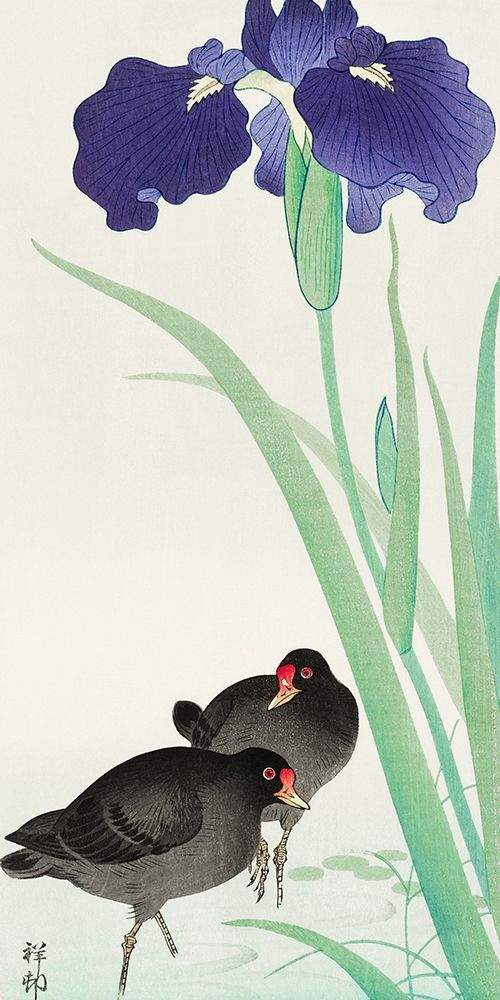 Waterhoots and iris art print by Ohara Koson for $57.95 CAD