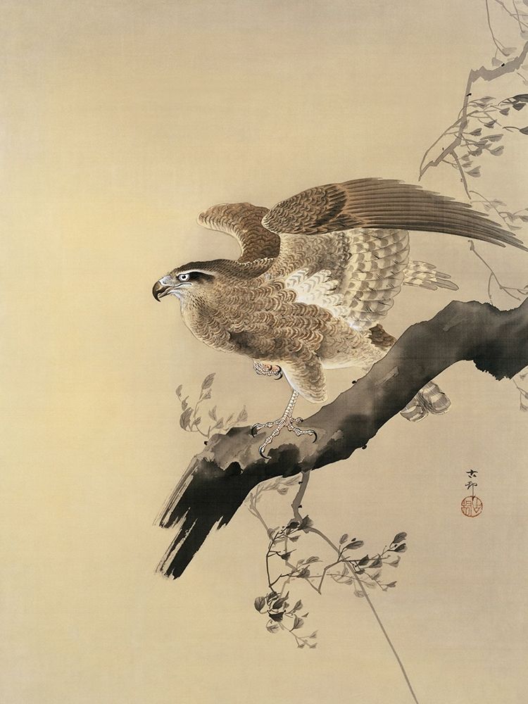 Hawk art print by Ohara Koson for $57.95 CAD