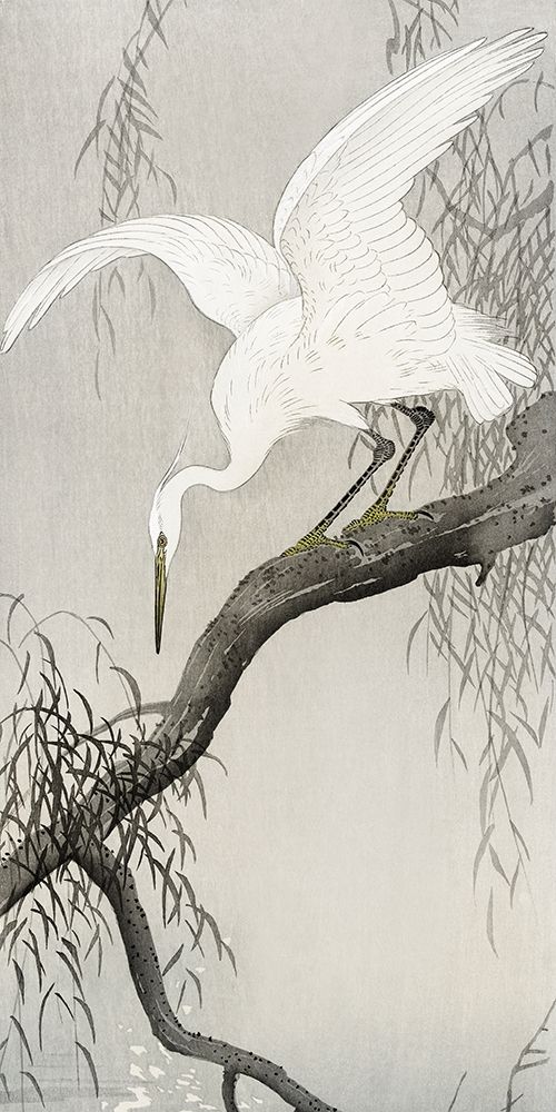 White heron on tree branch art print by Ohara Koson for $57.95 CAD