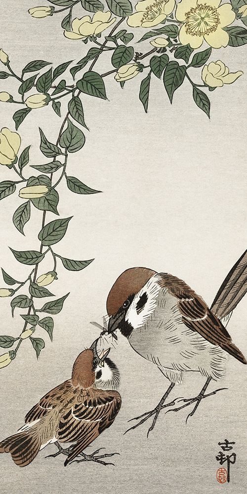 Birds and plants art print by Ohara Koson for $57.95 CAD