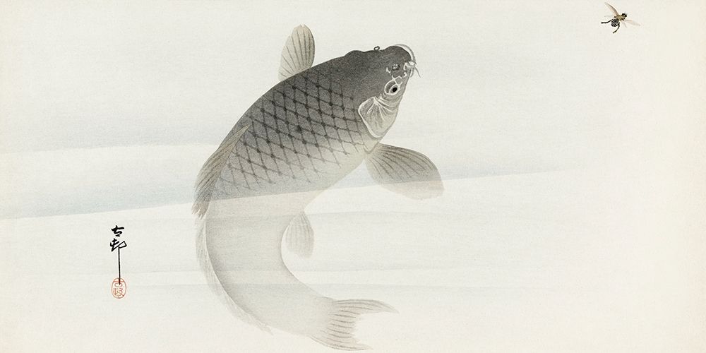 Carp and fly art print by Ohara Koson for $57.95 CAD