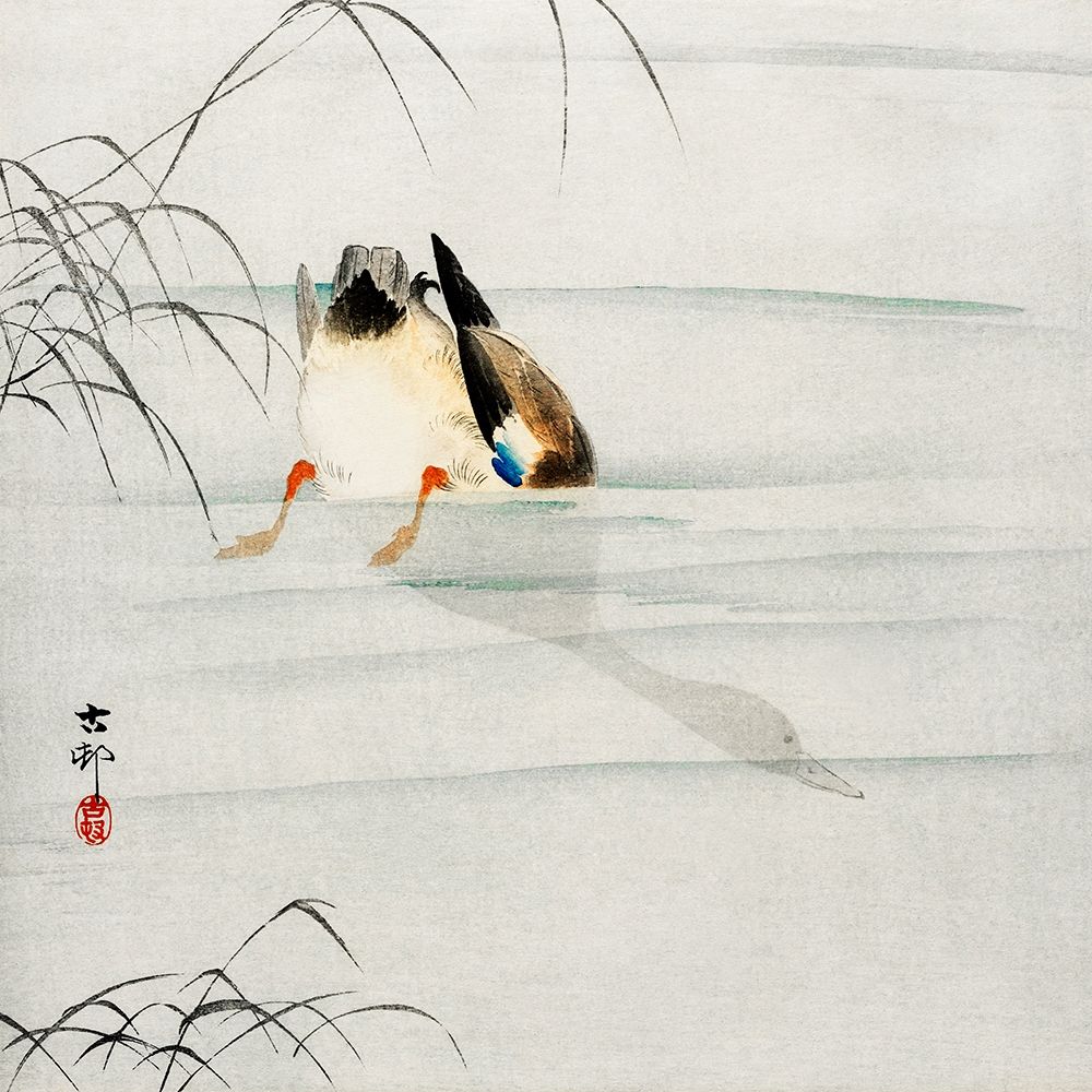 Mallard, the head under water art print by Ohara Koson for $57.95 CAD