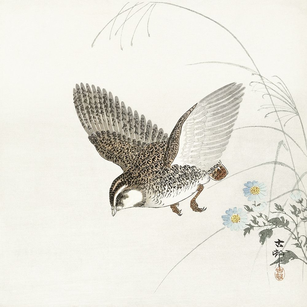 Flying quail art print by Ohara Koson for $57.95 CAD
