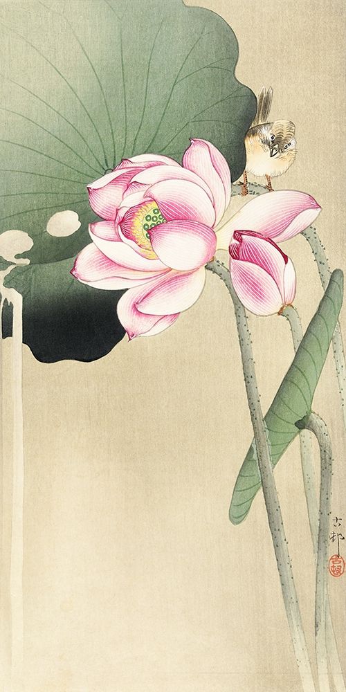 Songbird and Lotus art print by Ohara Koson for $57.95 CAD