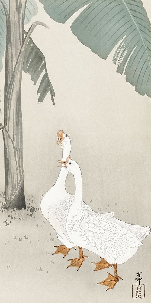 Two geese at banana tree art print by Ohara Koson for $57.95 CAD