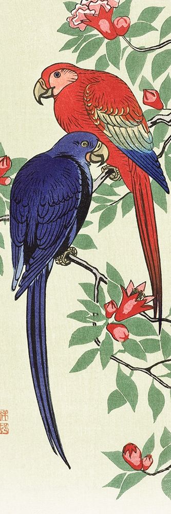 Red and a blue parrot art print by Ohara Koson for $57.95 CAD