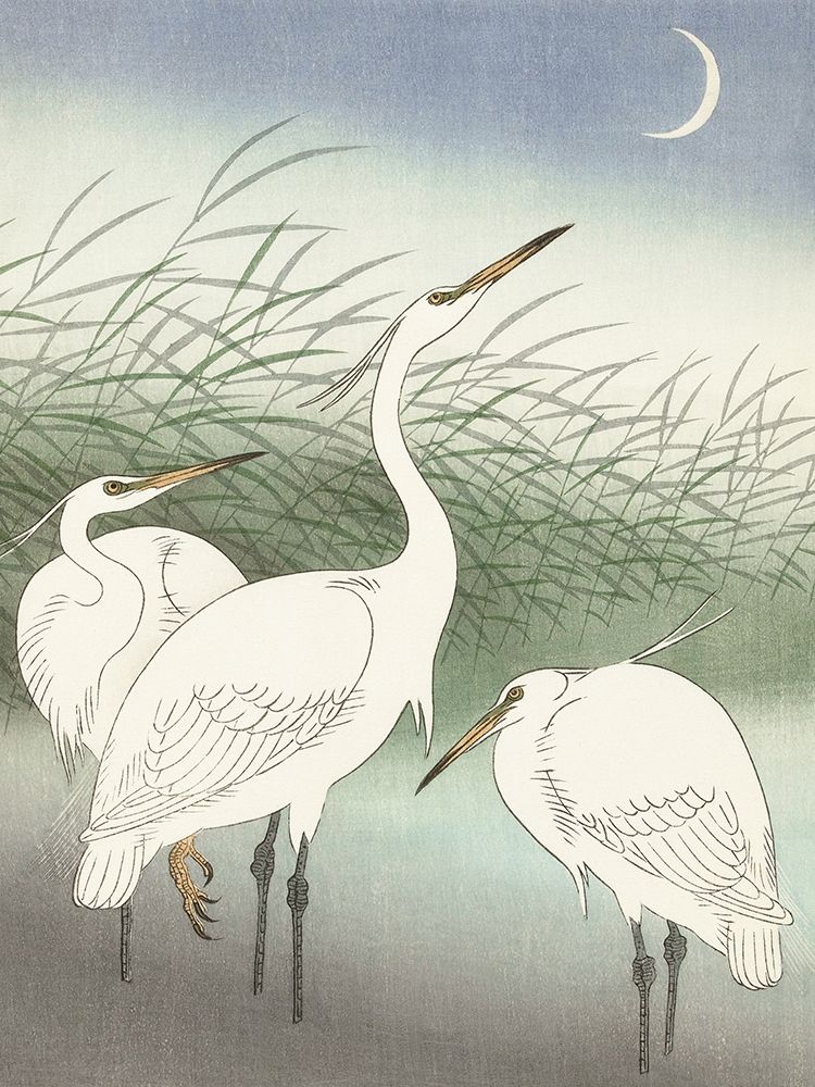 Herons in shallow water art print by Ohara Koson for $57.95 CAD