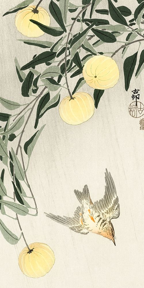 Cuckoo in the rain art print by Ohara Koson for $57.95 CAD