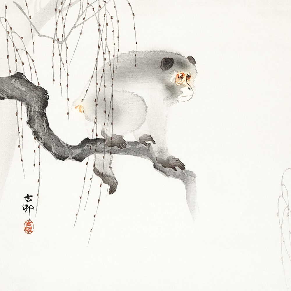 Monkey on a tree branch art print by Ohara Koson for $57.95 CAD