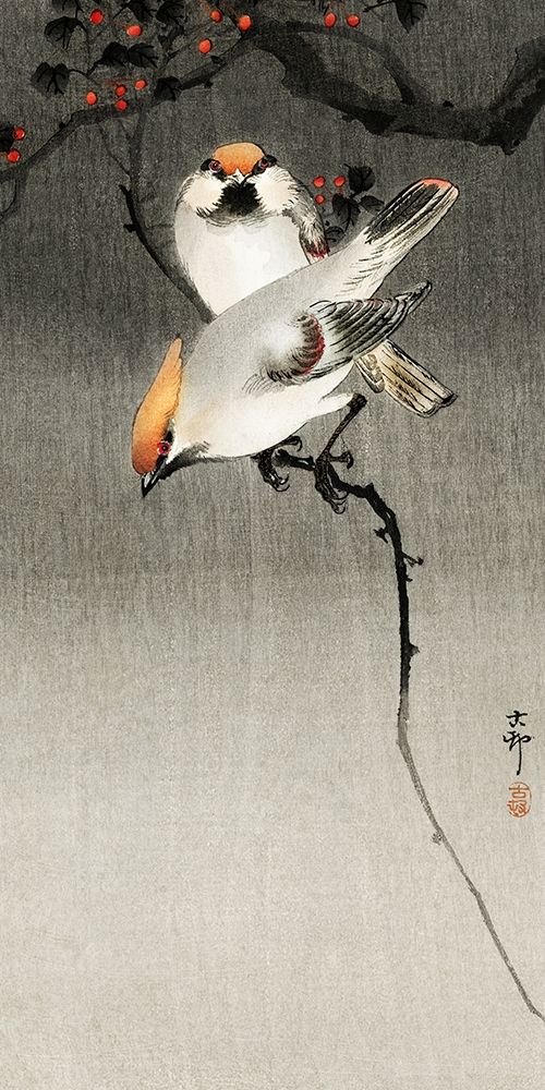 Bohemian waxwing birds art print by Ohara Koson for $57.95 CAD