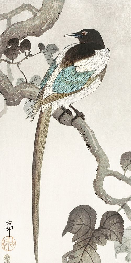 Magpie on tree branch art print by Ohara Koson for $57.95 CAD
