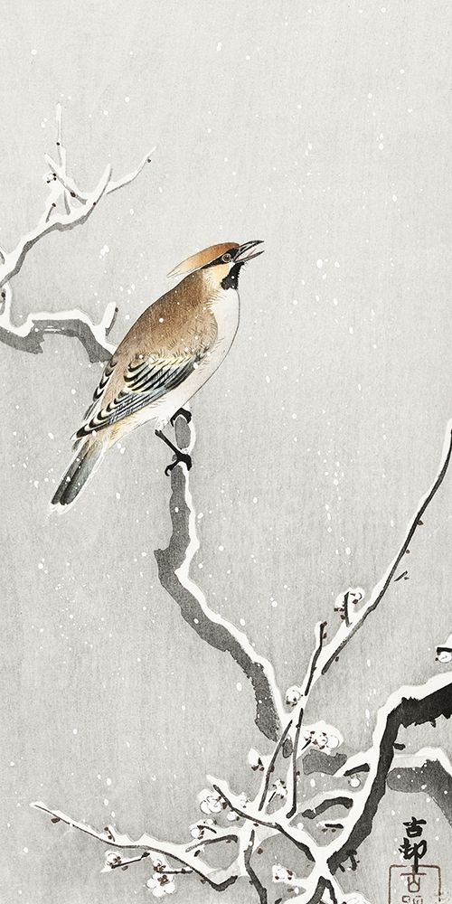 Bohemian bird on snowy branch art print by Ohara Koson for $57.95 CAD