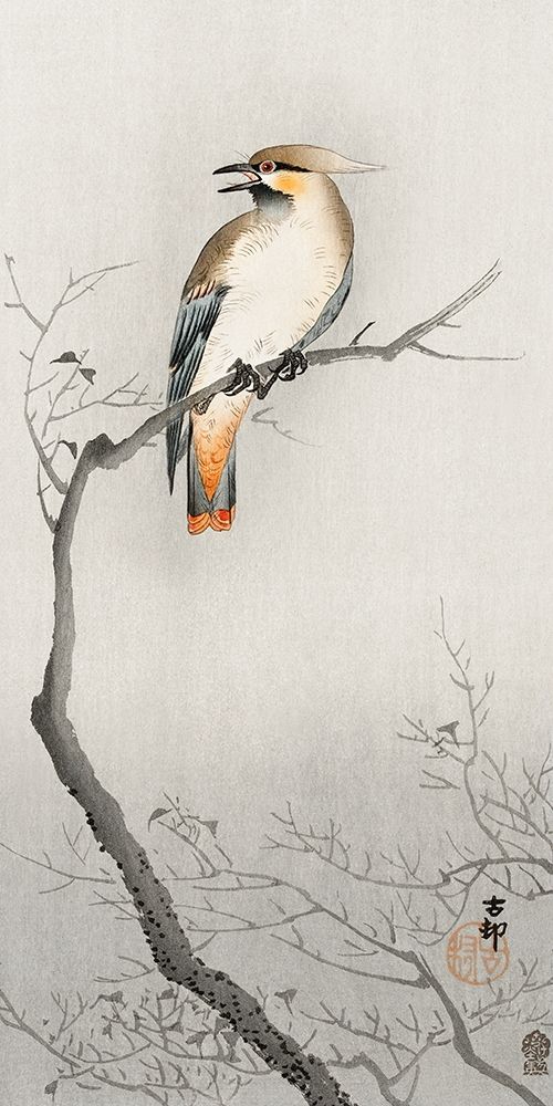 Japanese plague bird on branch art print by Ohara Koson for $57.95 CAD