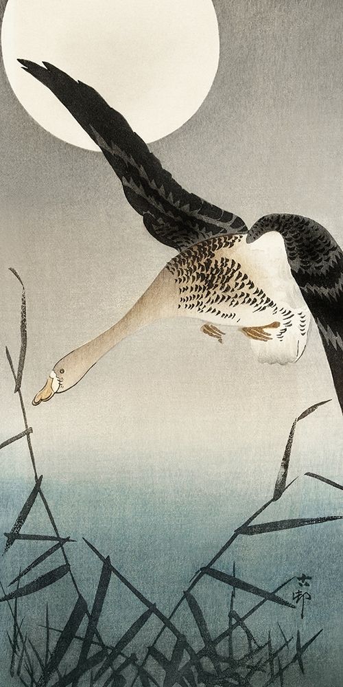 White-fronted goose at full moon art print by Ohara Koson for $57.95 CAD