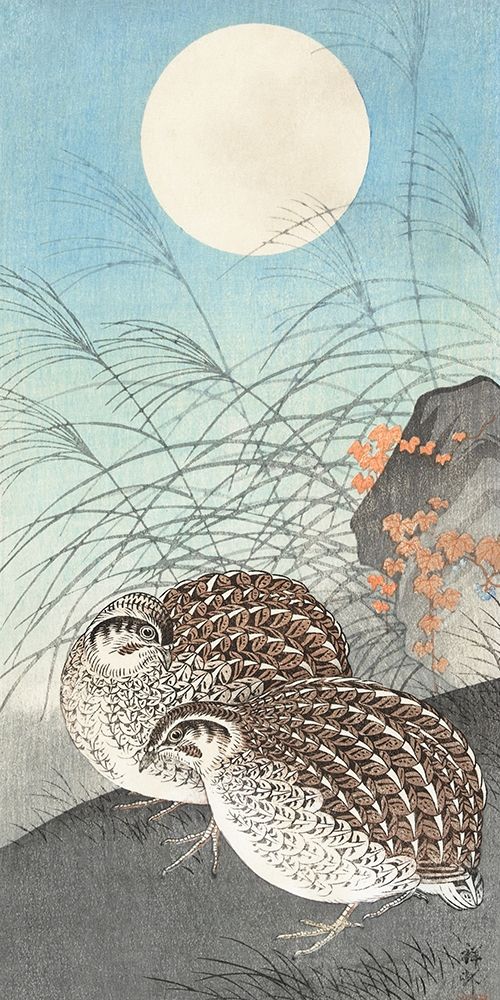Two quails at full moon art print by Ohara Koson for $57.95 CAD