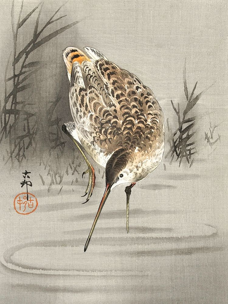 Snipe in the water art print by Ohara Koson for $57.95 CAD