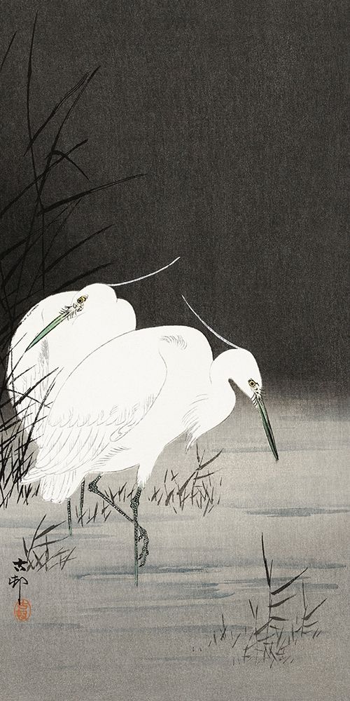 Two egrets in the reeds art print by Ohara Koson for $57.95 CAD