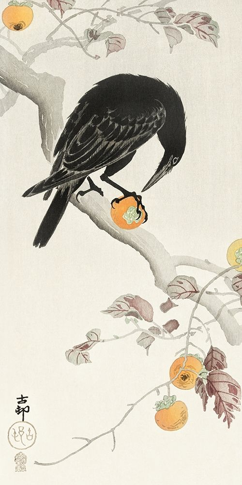 Crow with kaki fruit art print by Ohara Koson for $57.95 CAD