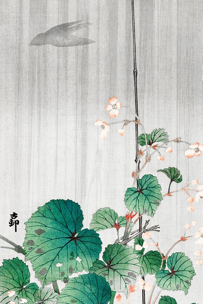 Begonia in the rain art print by Ohara Koson for $57.95 CAD