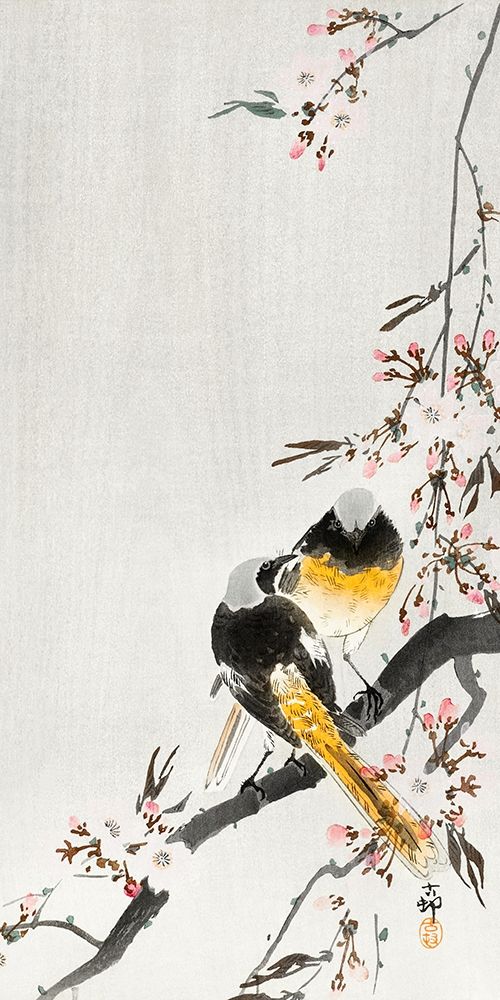 Two sable red tails with cherry blossom art print by Ohara Koson for $57.95 CAD