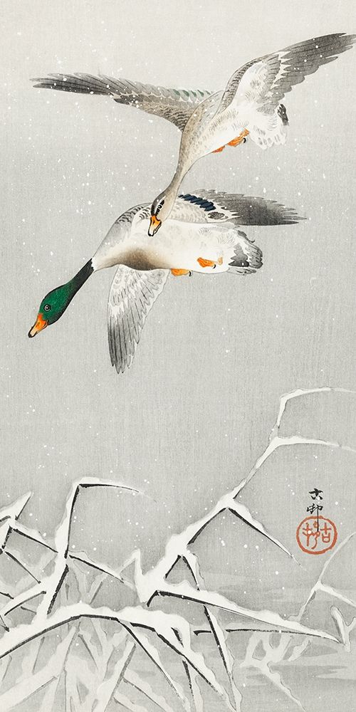 Two wild ducks in flight art print by Ohara Koson for $57.95 CAD