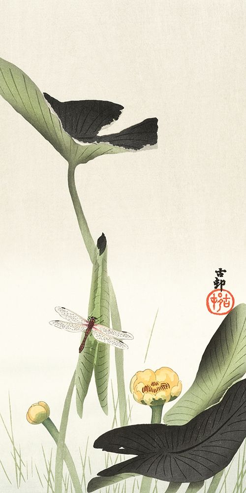 Libelle and lotus art print by Ohara Koson for $57.95 CAD