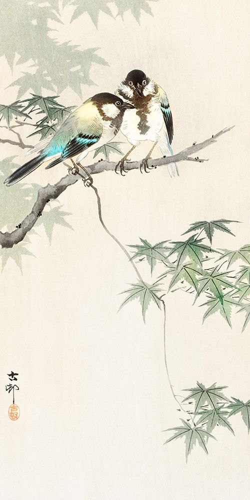 Great tits on maple branch art print by Ohara Koson for $57.95 CAD