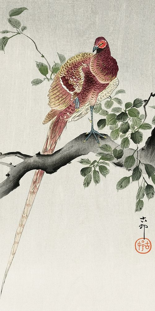 Copper pheasant art print by Ohara Koson for $57.95 CAD