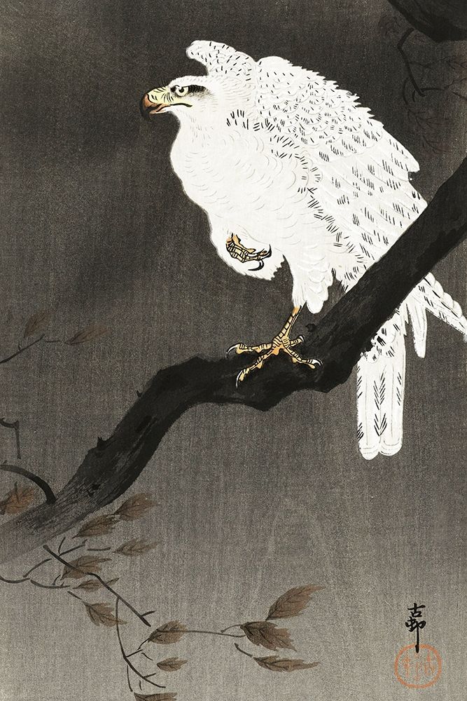 Snowy eagle on a tree branch art print by Ohara Koson for $57.95 CAD
