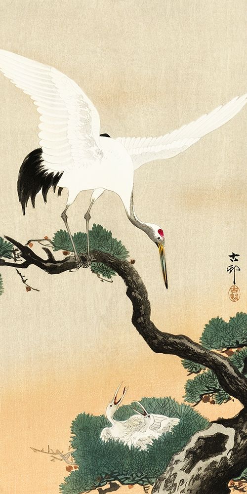 Japanese crane bird on branch of pine art print by Ohara Koson for $57.95 CAD