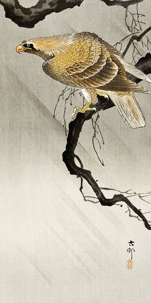Eagle on branch art print by Ohara Koson for $57.95 CAD
