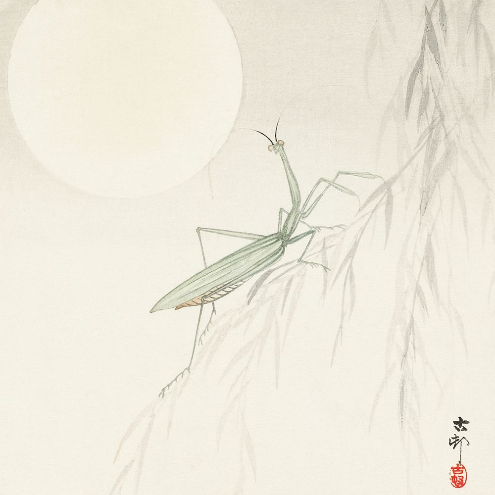 Praying mantis art print by Ohara Koson for $57.95 CAD