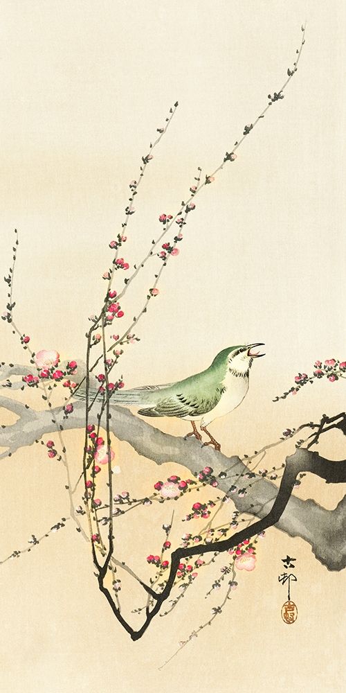 Songbird and plum blossom art print by Ohara Koson for $57.95 CAD
