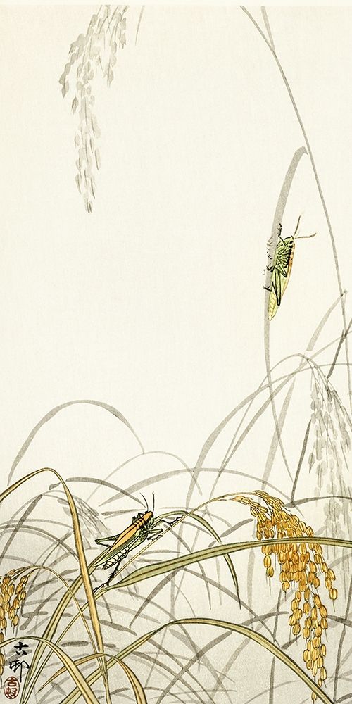 Grasshoppers on rice plants art print by Ohara Koson for $57.95 CAD