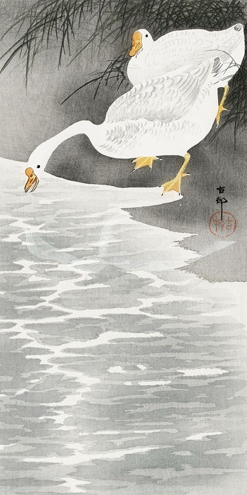 Geese on the shore art print by Ohara Koson for $57.95 CAD