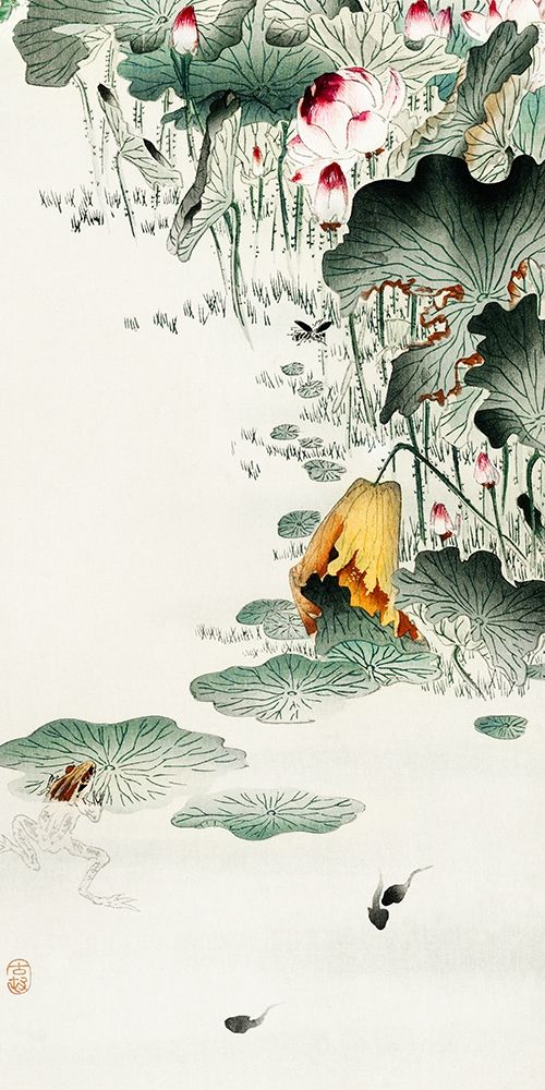 Frog and tadpoles art print by Ohara Koson for $57.95 CAD