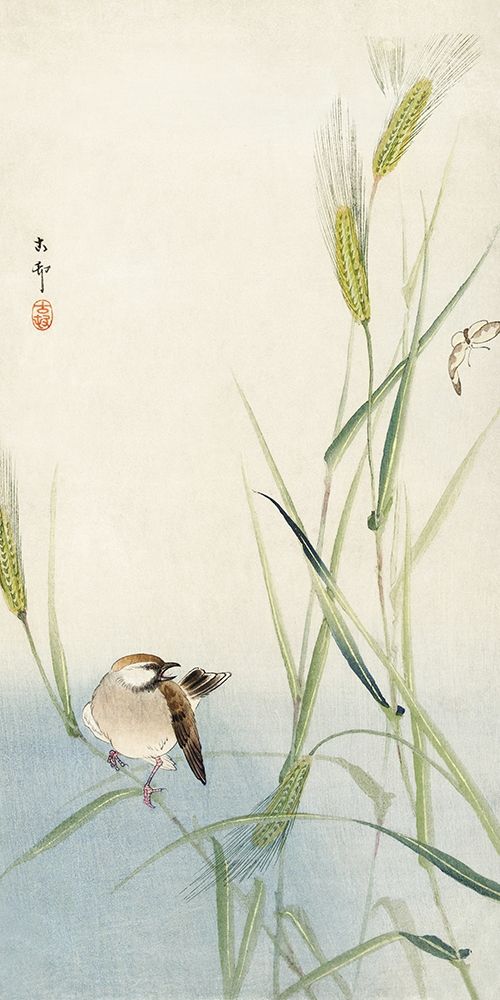 Bird and butterfly art print by Ohara Koson for $57.95 CAD