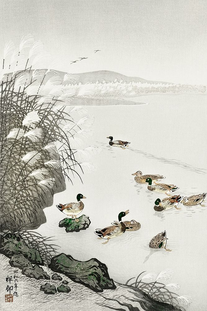 Ducks in the water art print by Ohara Koson for $57.95 CAD