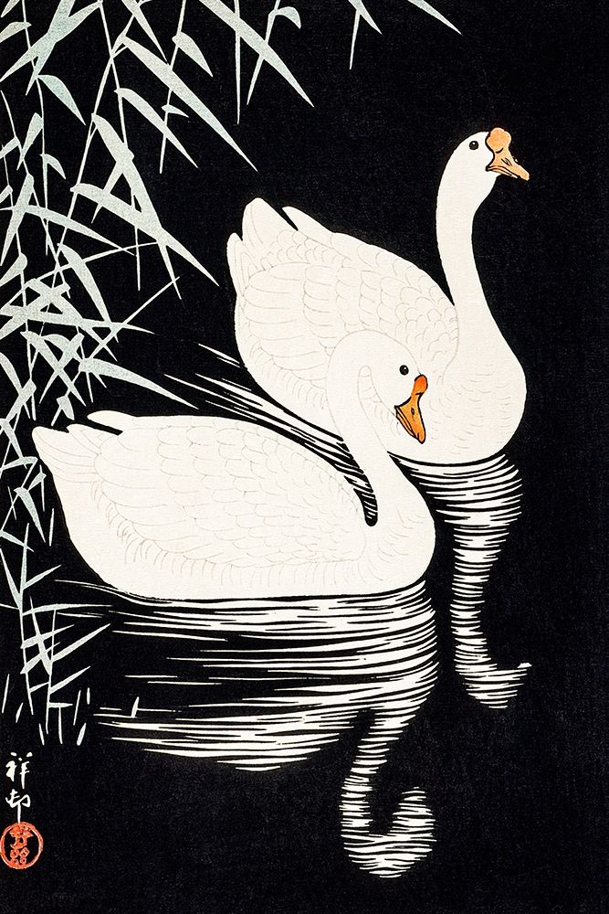 White Chinese Geese Swimming by Reeds art print by Ohara Koson for $57.95 CAD